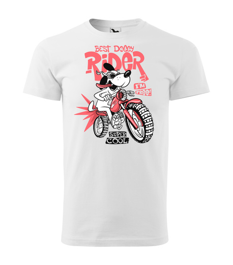 rider_white.jpg